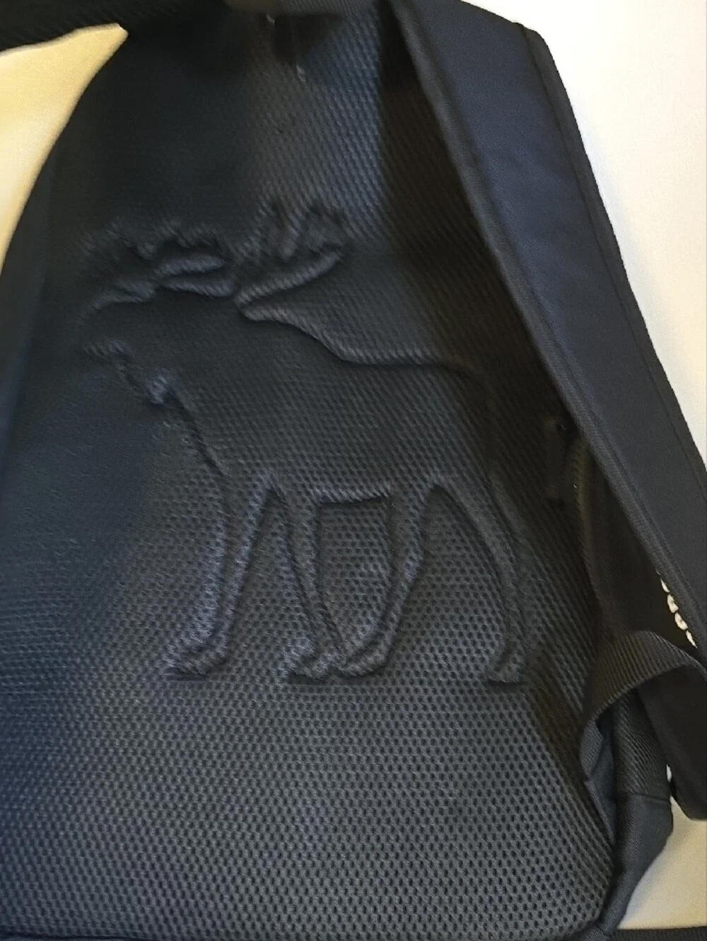 NWT Abercrombie & Fitch Black Everyday Backpack with Pencil Case-Large
